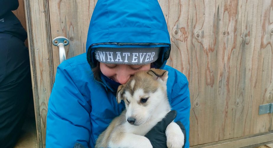 Husky puppy knuffelen
